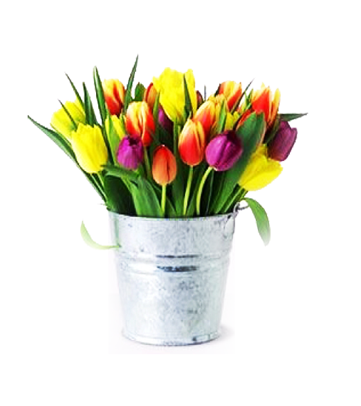 Florero Galvanizado de 30 Tulipanes Primaverales